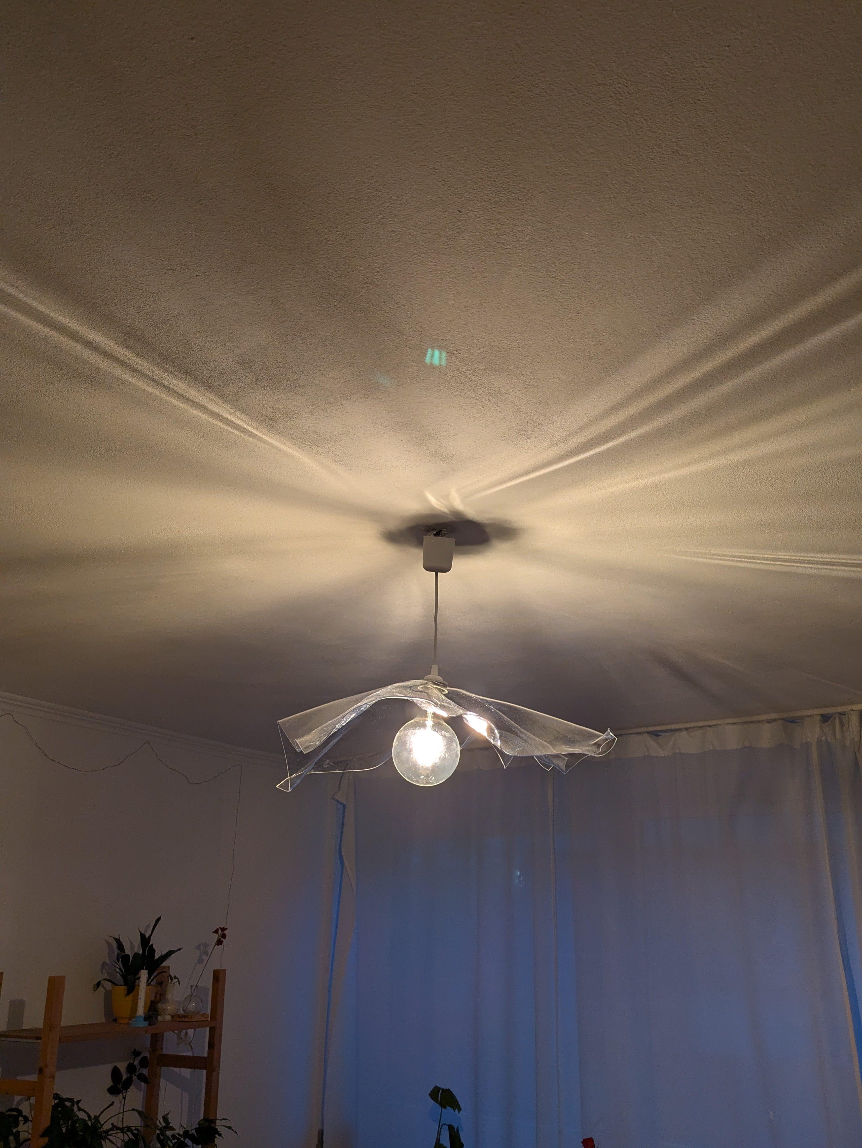 PXL_20260217_170201406.jpg