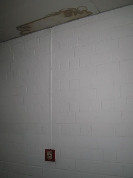 19_-_fleck_an_der_de_1c8dd1.jpg