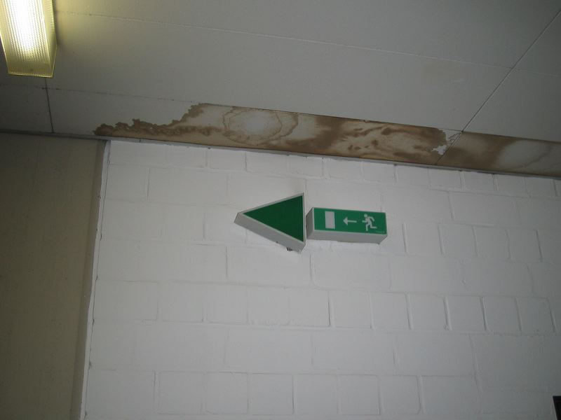 20_-_fleck_an_der_de_1c8dd2.jpg
