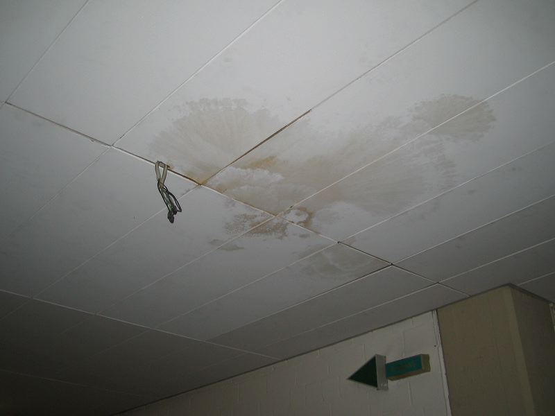 35_-_fleck_an_der_de_1c8de1.jpg